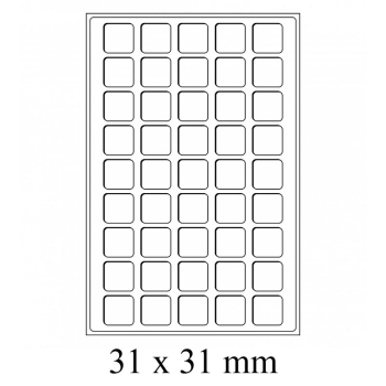 Leuchtturm coin trays L