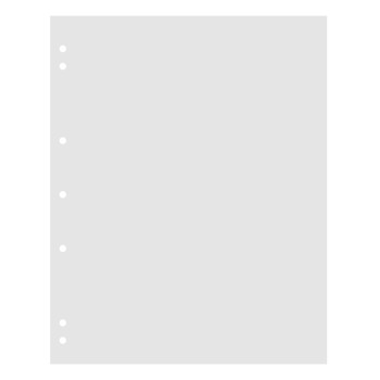 Leuchtturm interleaves for NUMIS album